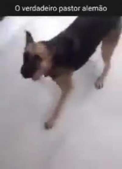 Original mesmo esse ai