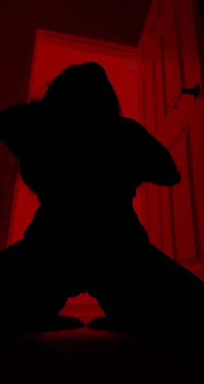 The Silhouette Challenge #17 (onlyonerhonda)