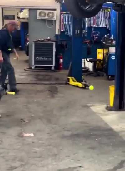 Doggo got game