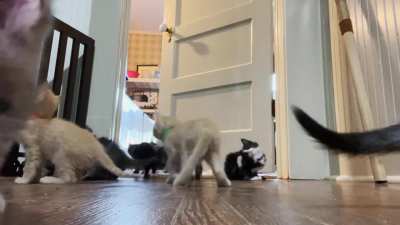 Escape! Escape!