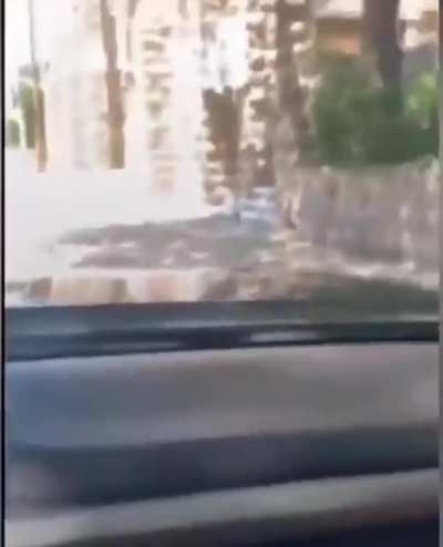 You asked for it.