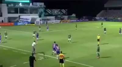 Imaginando aqui o Rogério na nossa sideline