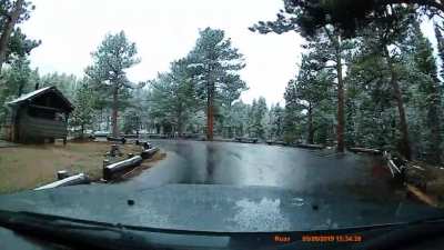 My distracted driving while on vacation- RMNP