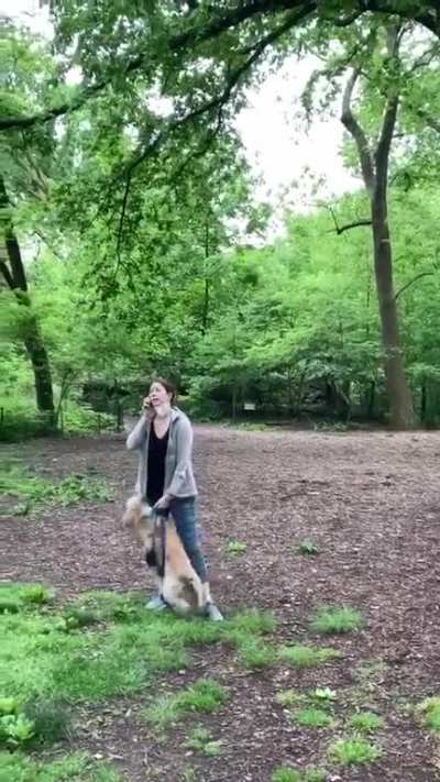Lady chokes her dog and lies to police about 