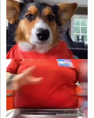 Only video I need today.