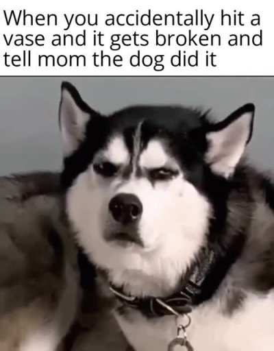 I had to do this