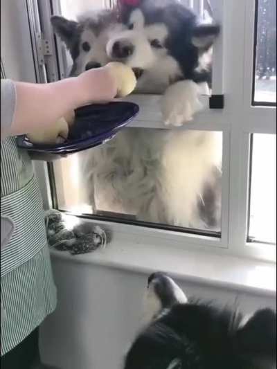 Wait till the end..