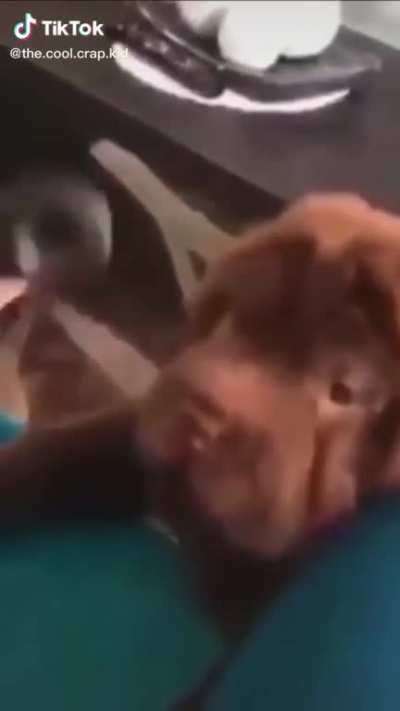 Fidget Spinner