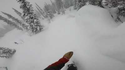 Attempted to ride a spine down. Too much speed and sent it instead