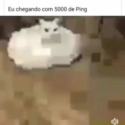 ping