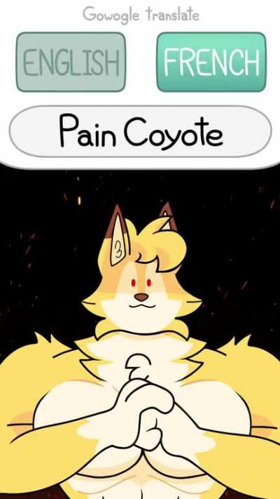 Furry🇫🇷irl