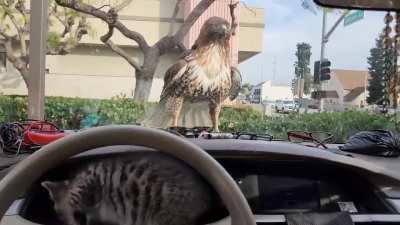 Maybe maybe maybe 