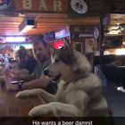 For the love of God someone get this dog a beer