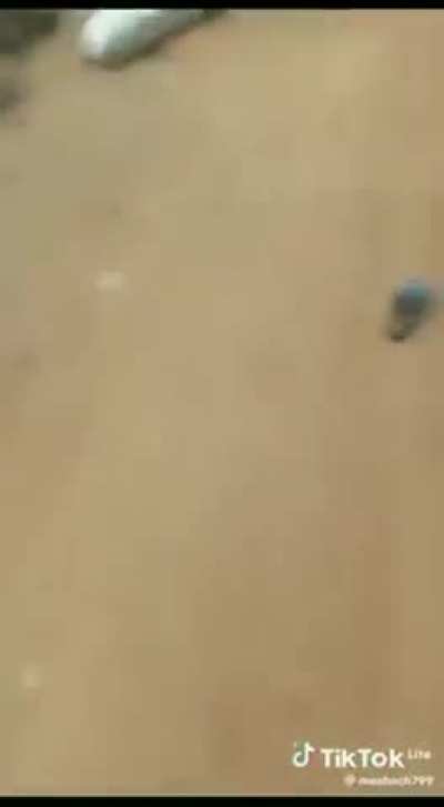 Fighting between Nigerian military and Biafran separatists