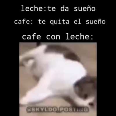 G A T O