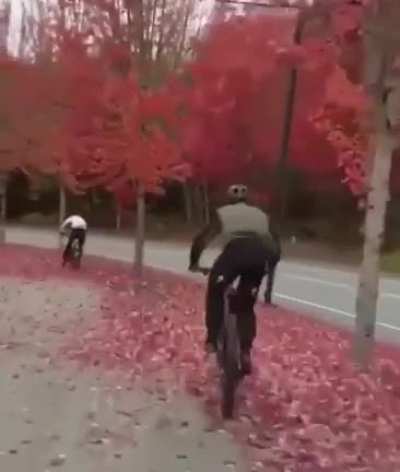 Enjoying the rhythm