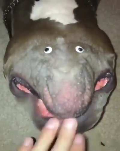 He Who Licks His Chin