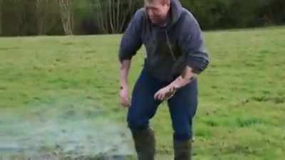 Cow poop and a firework