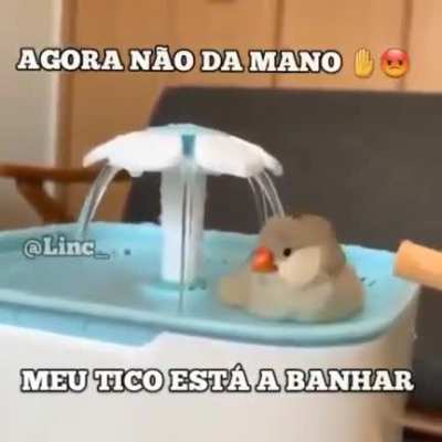 agora não 🤚😡