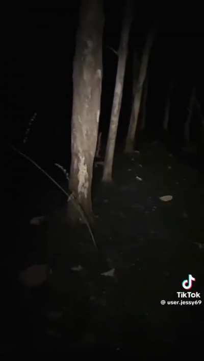 Spooky