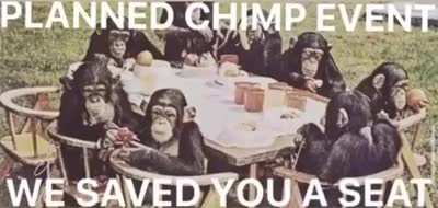 Yes... I’m monke!!!!
