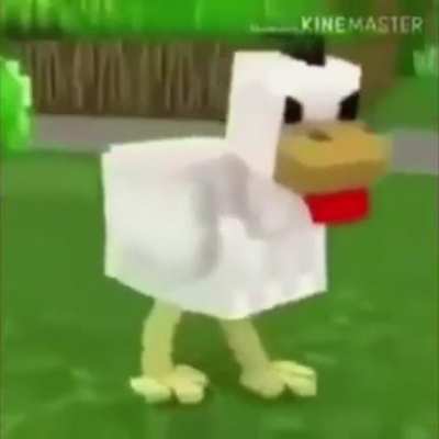 Solid cock fight