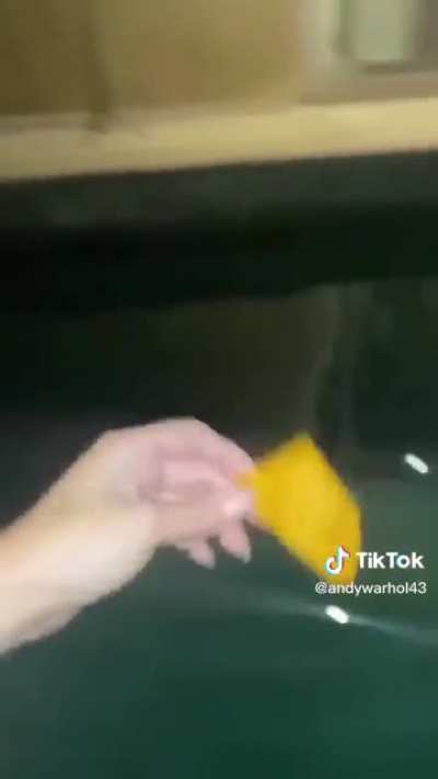She didn't want the chip