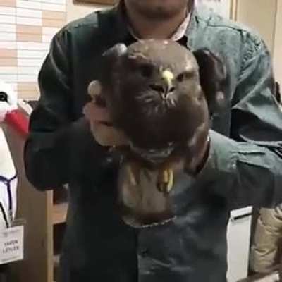 Wot u fucking cunt? Watchin u. Swer to god if u come hear and say that agen ill come n smack ur bitch up