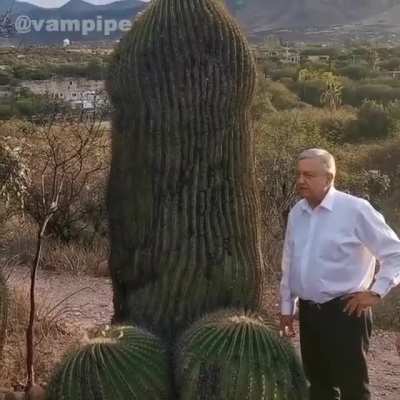 Esto es mexico