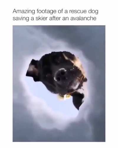 You took my balls and made me a bitch, Now pay for your sins and die in a ditch.