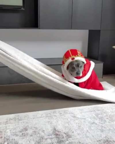 Here comes the King