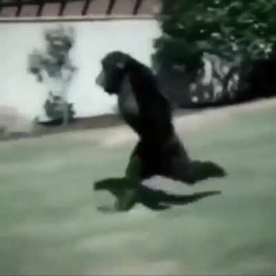 hmm