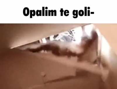 Molim?