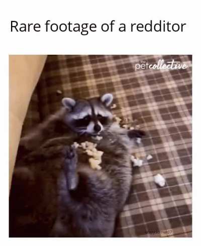 OH NO! They found us