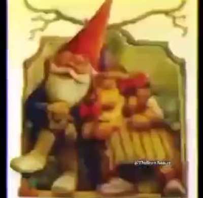 gnome deniers: 