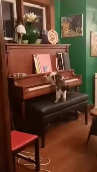 “Imagine hearing this in the middle of the night for the first time though”