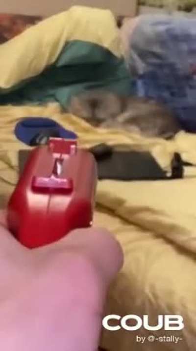 Доброе утро!