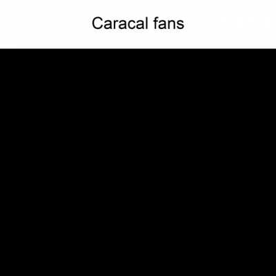 My take on the gun fans explain format