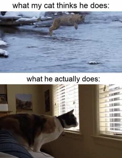 There was an attempt...