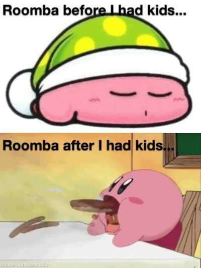 Roomba’s Dreamland...