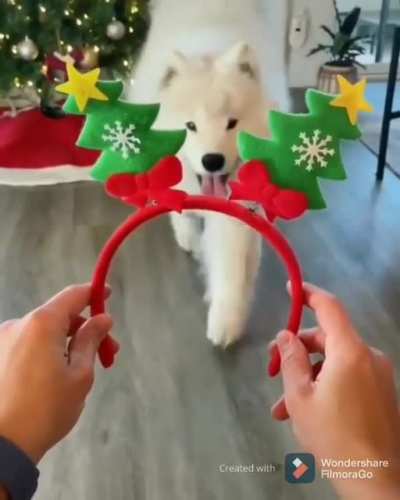 Trying on headbands