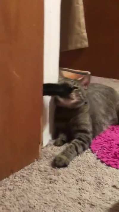 Touch tha face