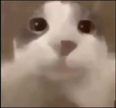 Mom's hand when i forget and come too close to the door: