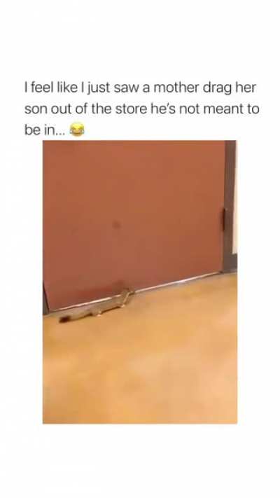 I've witnessed it 😂