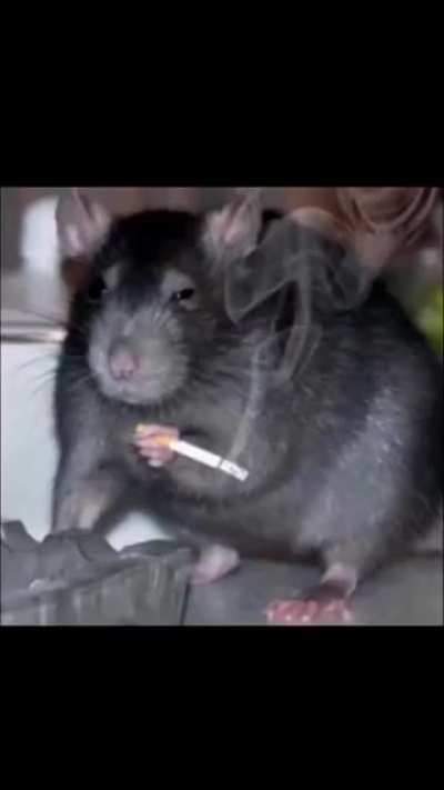 Joji