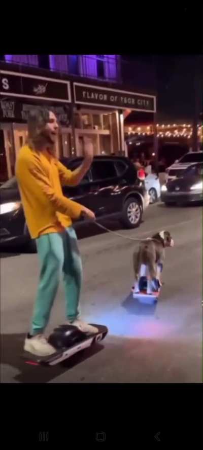 How do you even teach a dog to do this? 