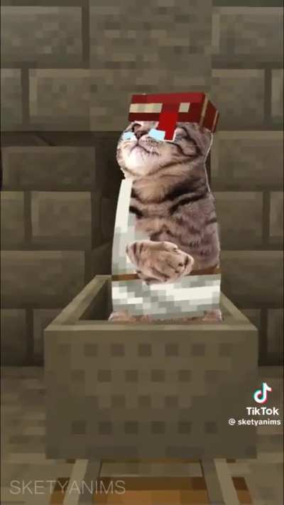 Wunkcraft 