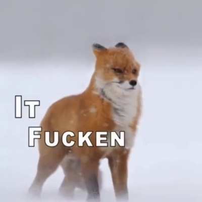 W I M D Y