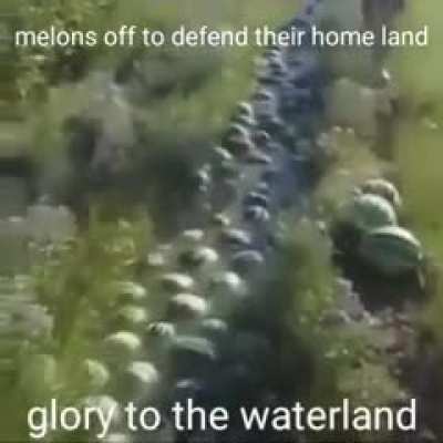 Mëlön