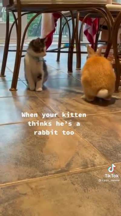 this is so cute!